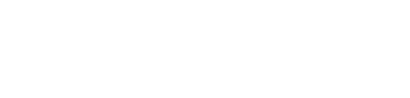 ENS_Logo Horizontal Blanco (2)